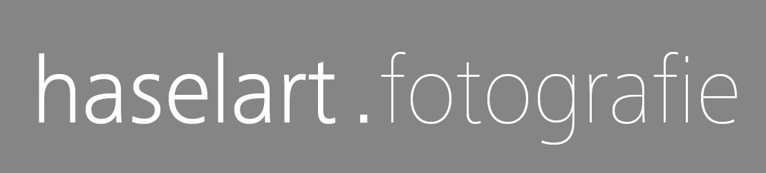 haselart . fotografie